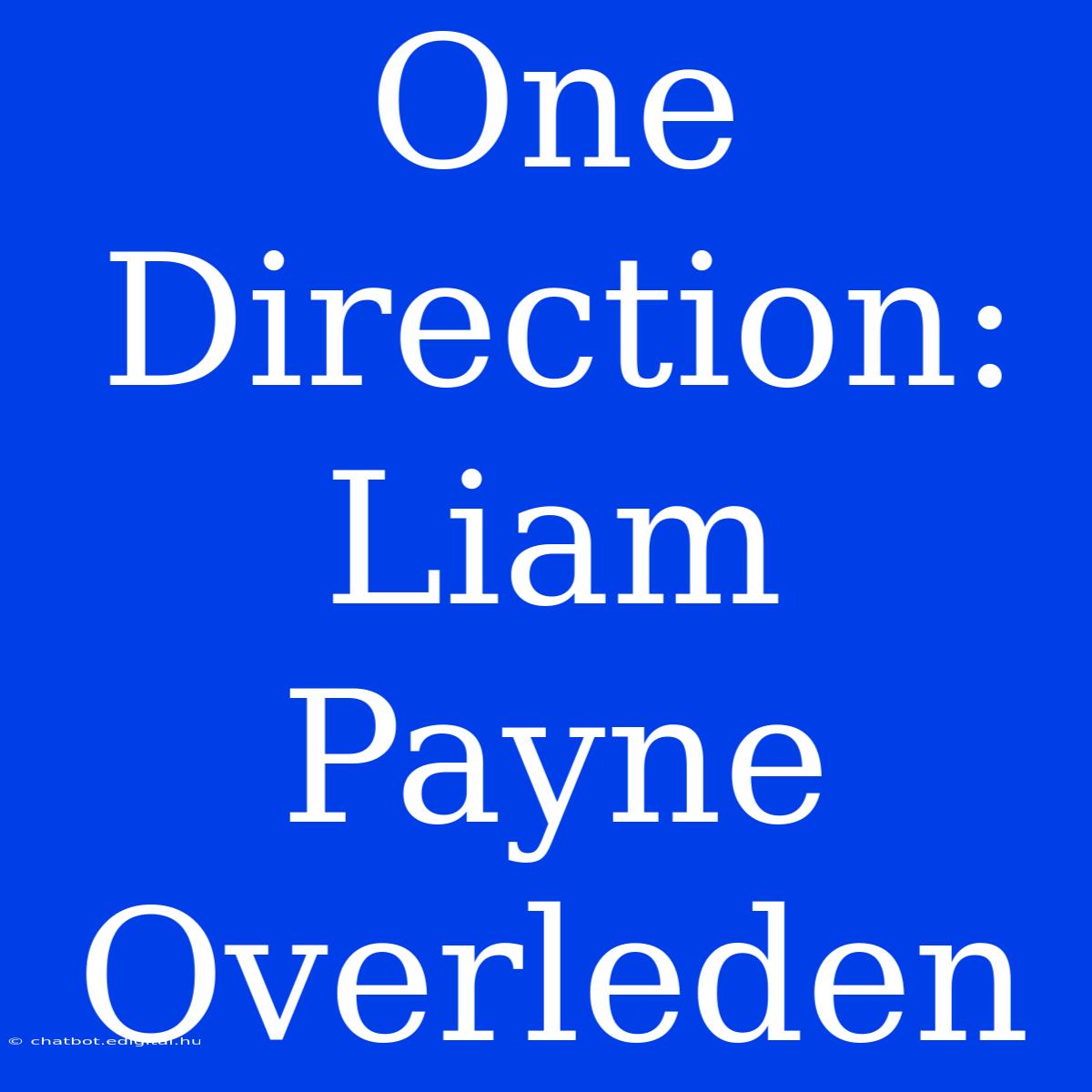 One Direction: Liam Payne Overleden 