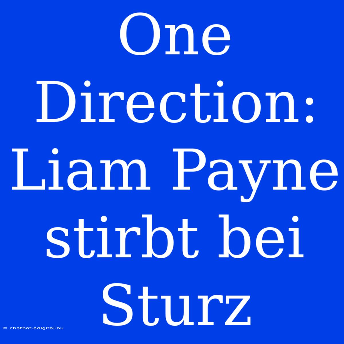 One Direction: Liam Payne Stirbt Bei Sturz