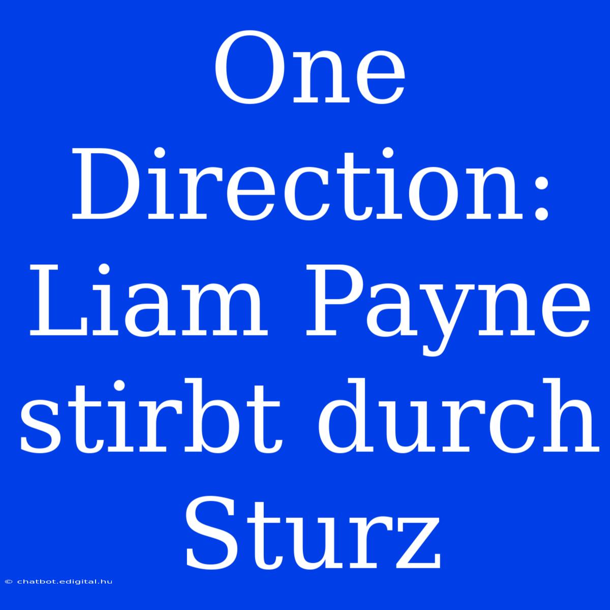 One Direction: Liam Payne Stirbt Durch Sturz