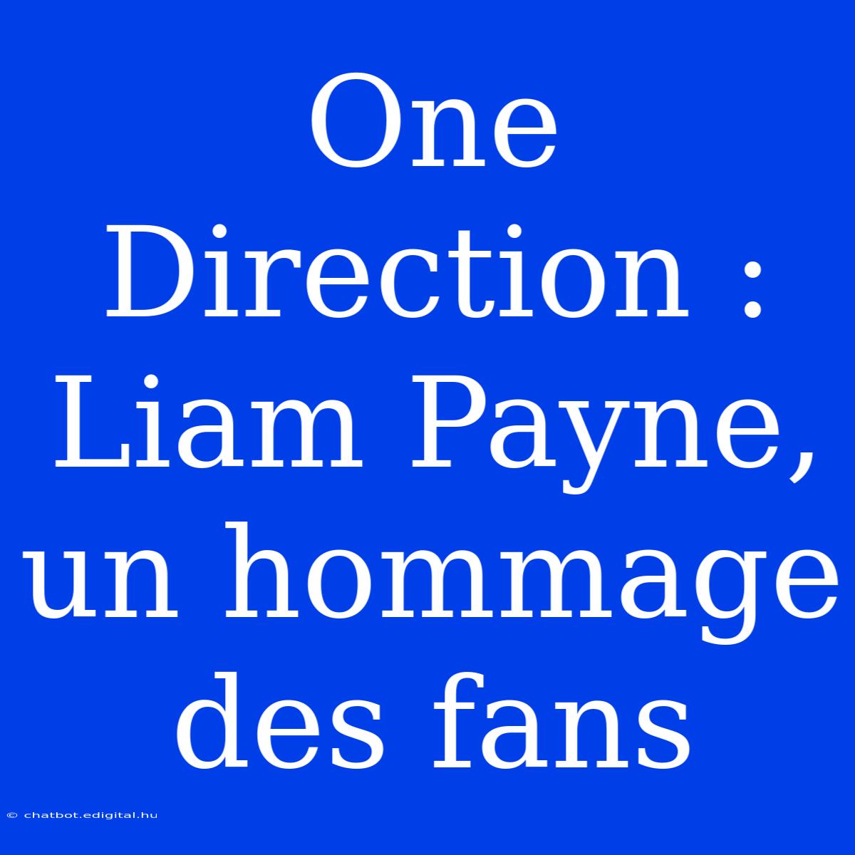 One Direction : Liam Payne, Un Hommage Des Fans 