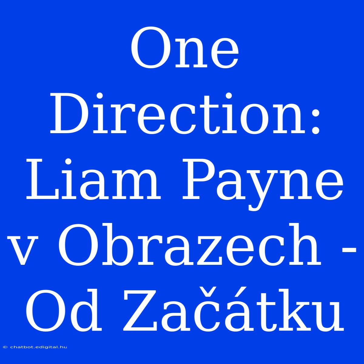 One Direction: Liam Payne V Obrazech - Od Začátku 