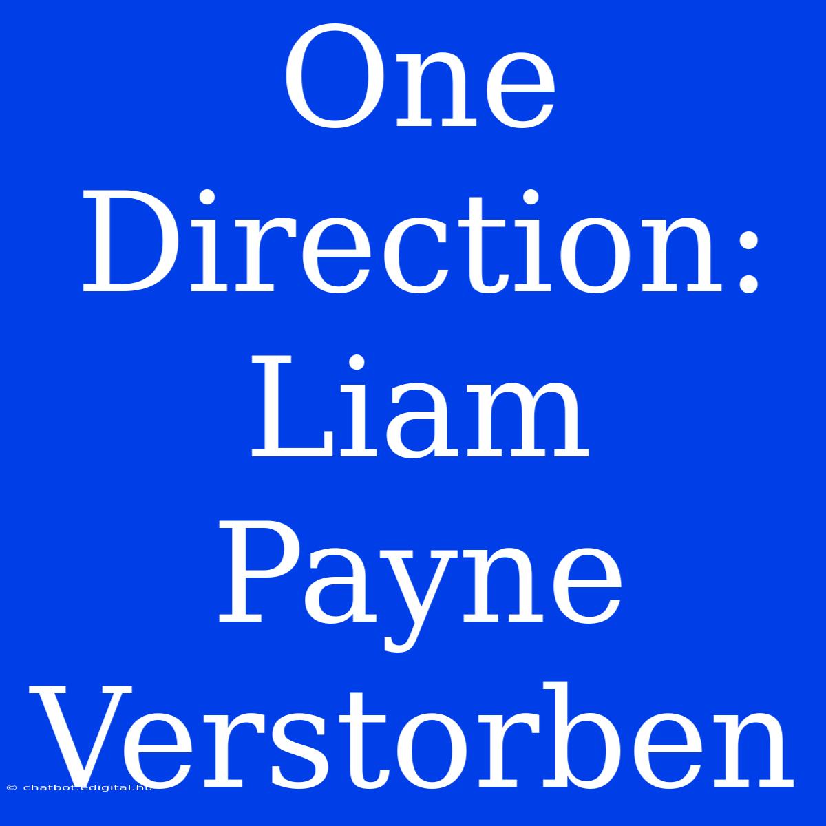 One Direction: Liam Payne Verstorben 