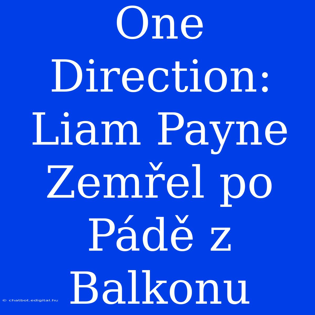 One Direction: Liam Payne Zemřel Po Pádě Z Balkonu