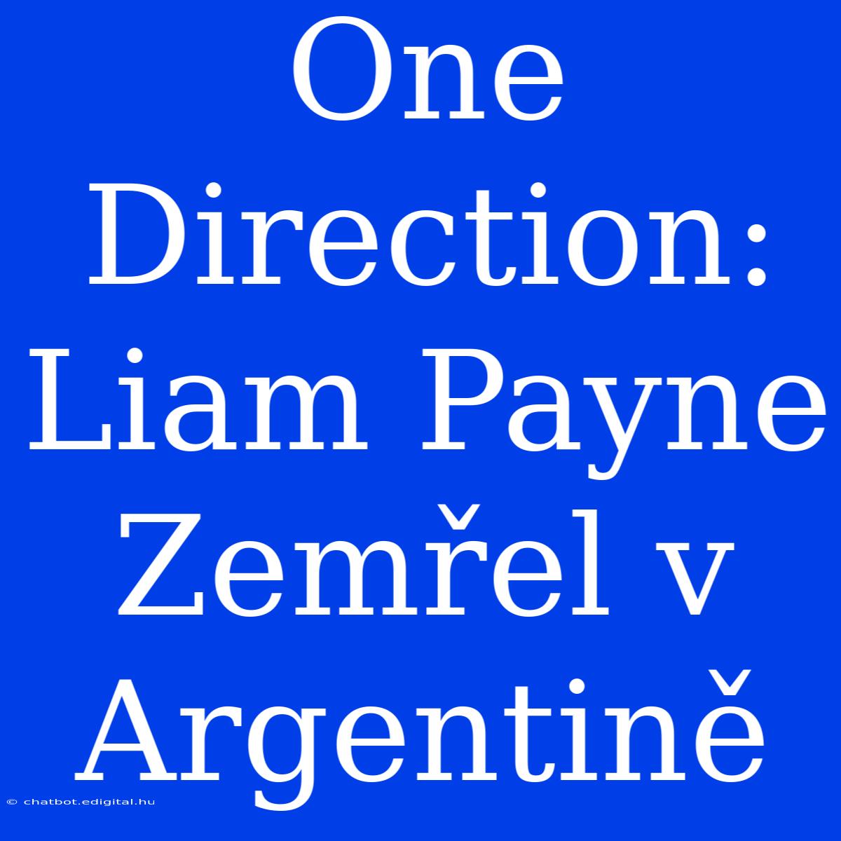 One Direction: Liam Payne Zemřel V Argentině