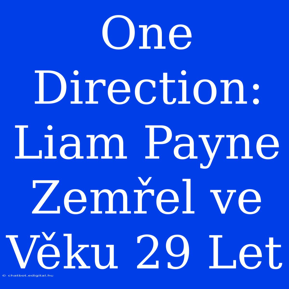 One Direction: Liam Payne Zemřel Ve Věku 29 Let