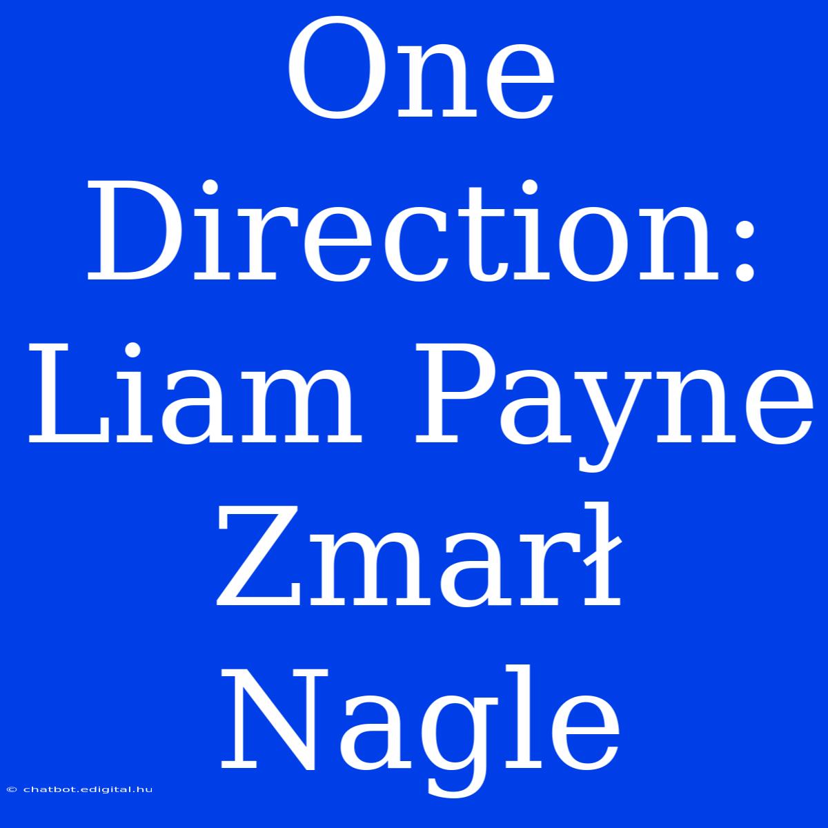 One Direction: Liam Payne Zmarł Nagle