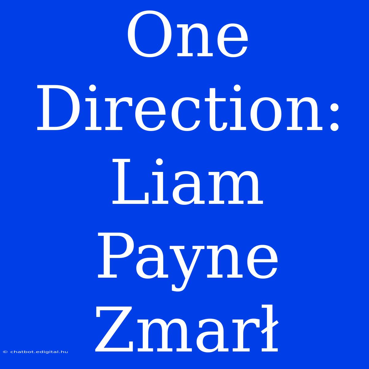 One Direction: Liam Payne Zmarł