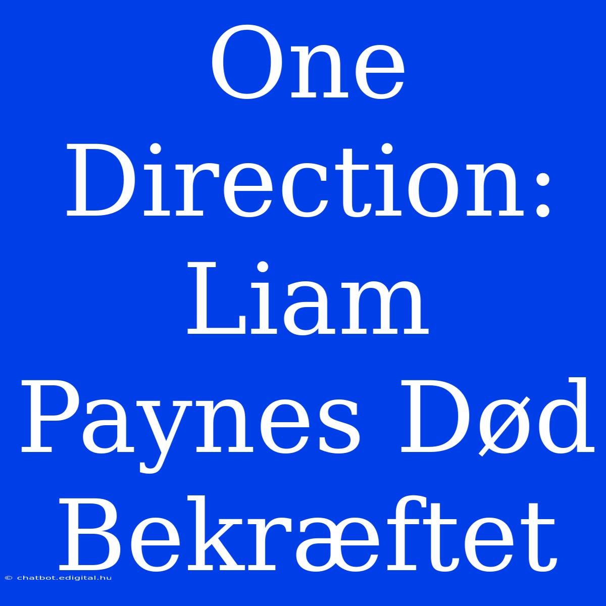 One Direction: Liam Paynes Død Bekræftet