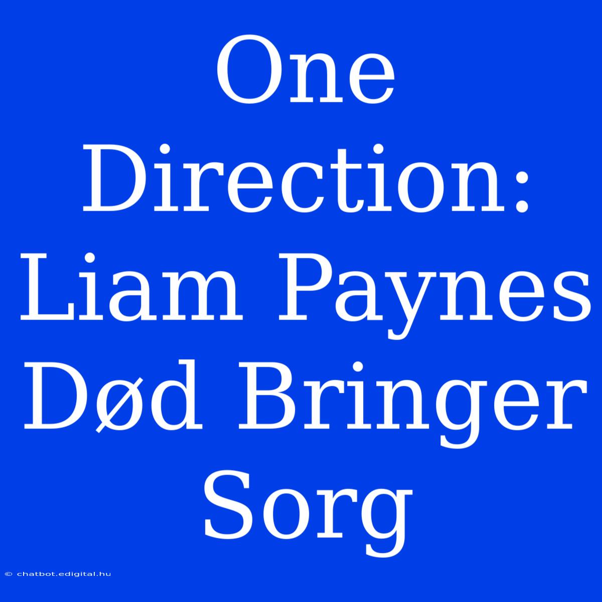 One Direction: Liam Paynes Død Bringer Sorg