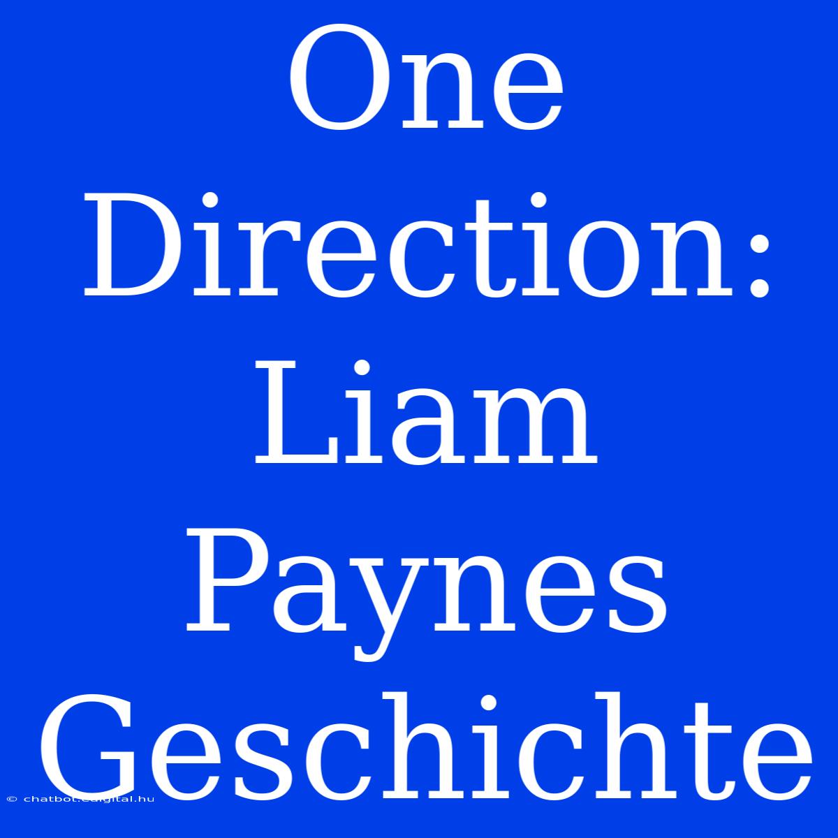 One Direction: Liam Paynes Geschichte