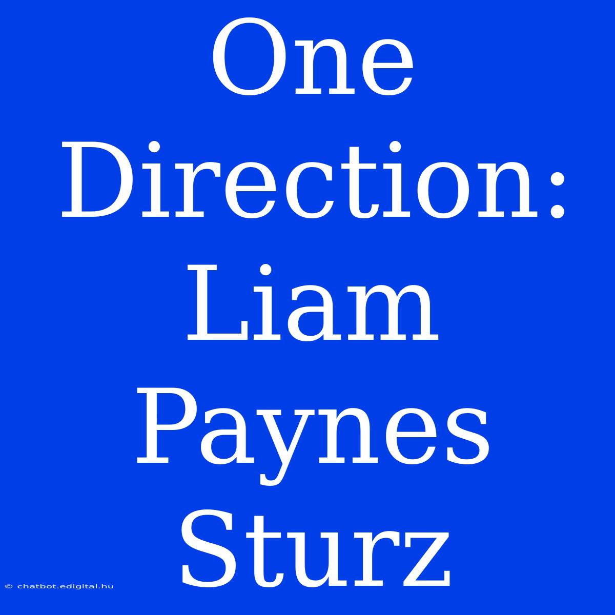 One Direction: Liam Paynes Sturz