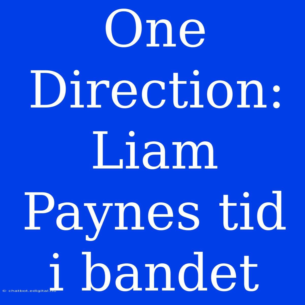 One Direction: Liam Paynes Tid I Bandet