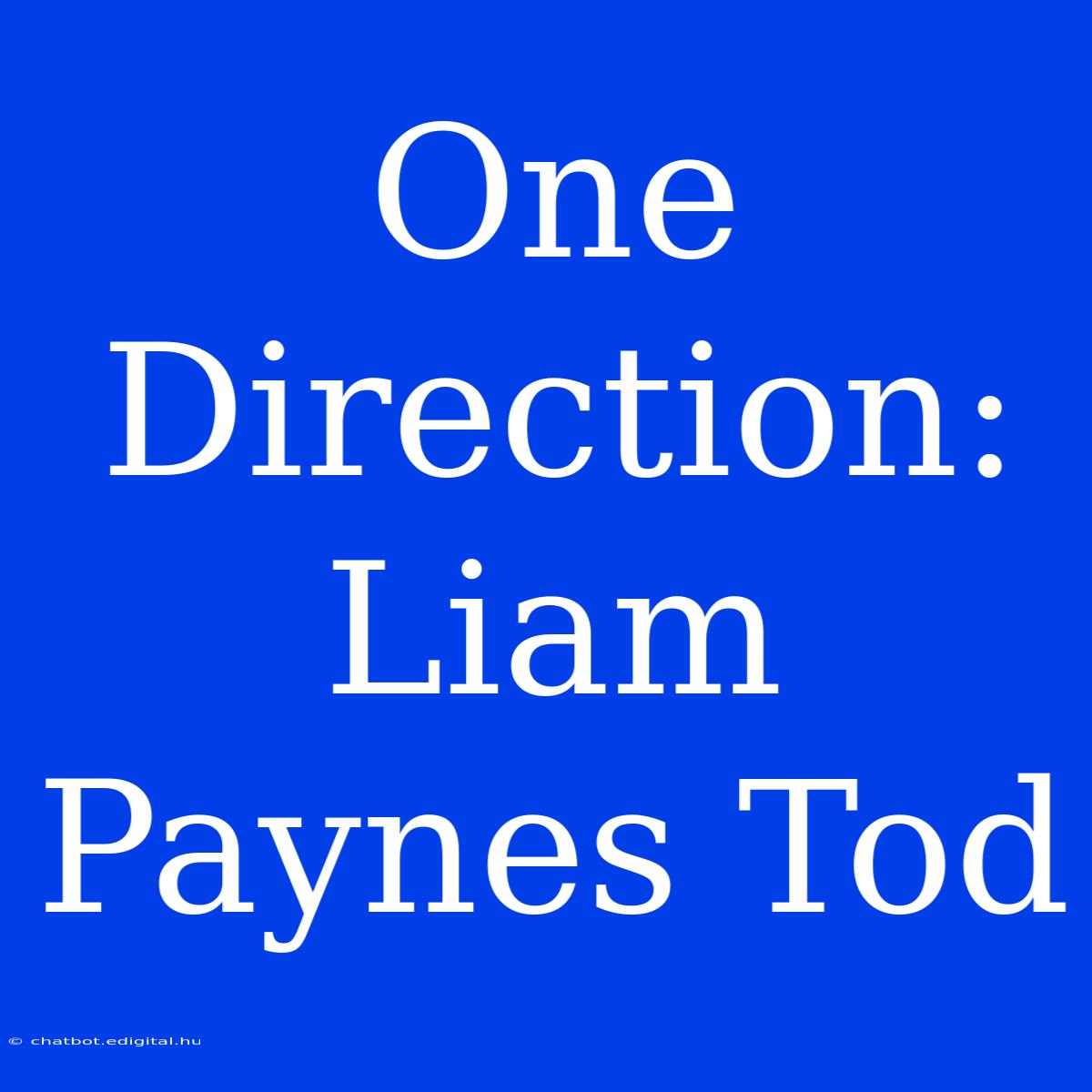 One Direction:  Liam Paynes Tod