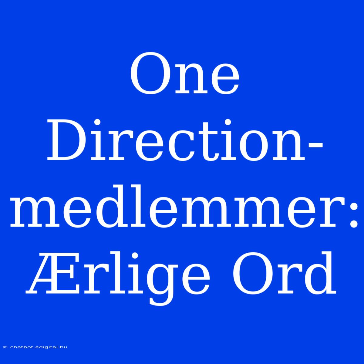 One Direction-medlemmer: Ærlige Ord