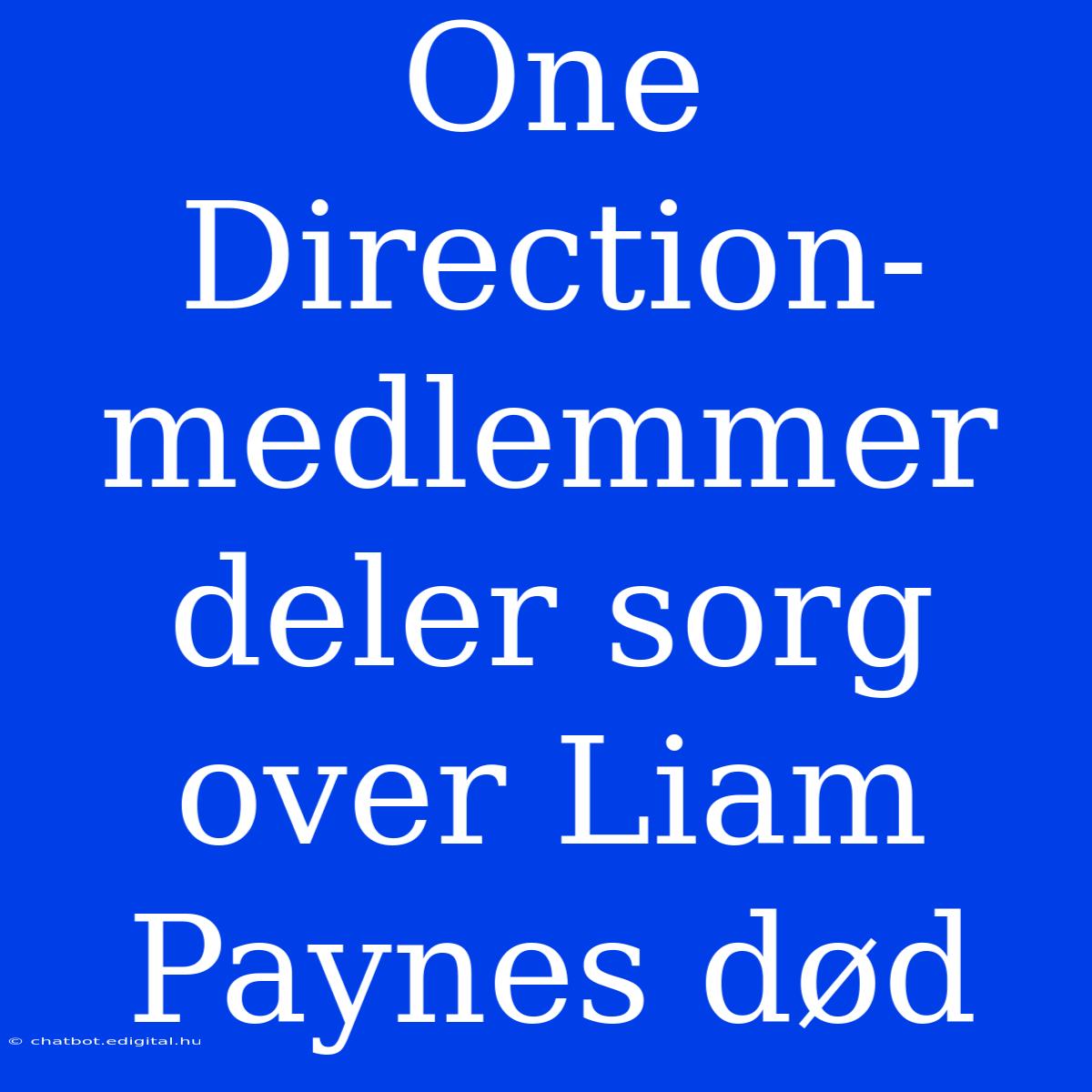 One Direction-medlemmer Deler Sorg Over Liam Paynes Død