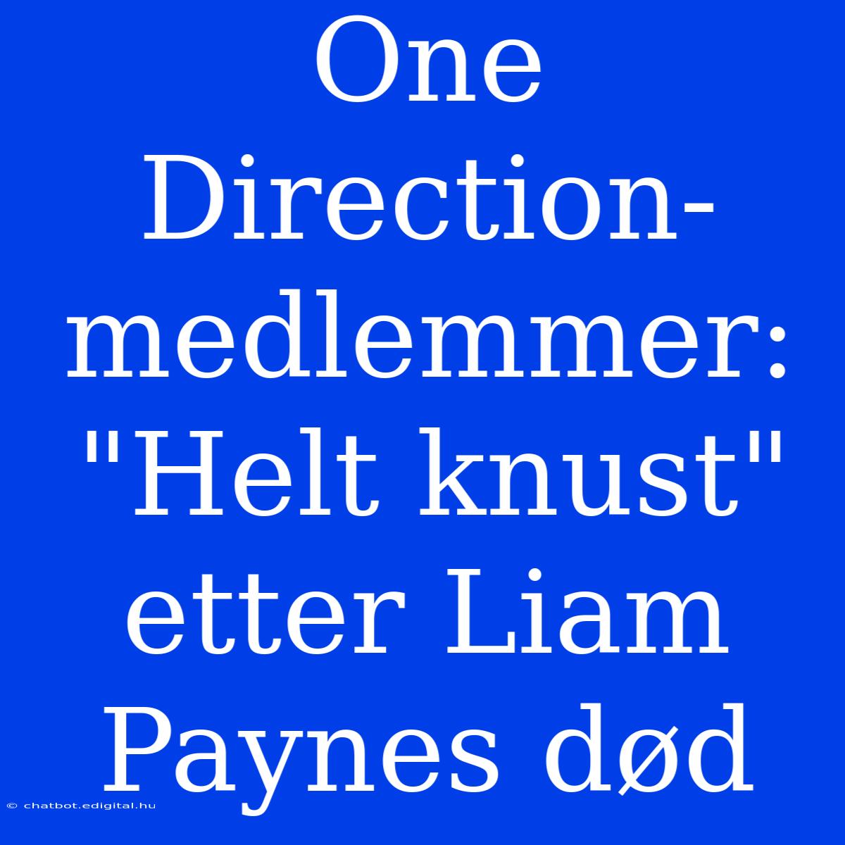 One Direction-medlemmer: 