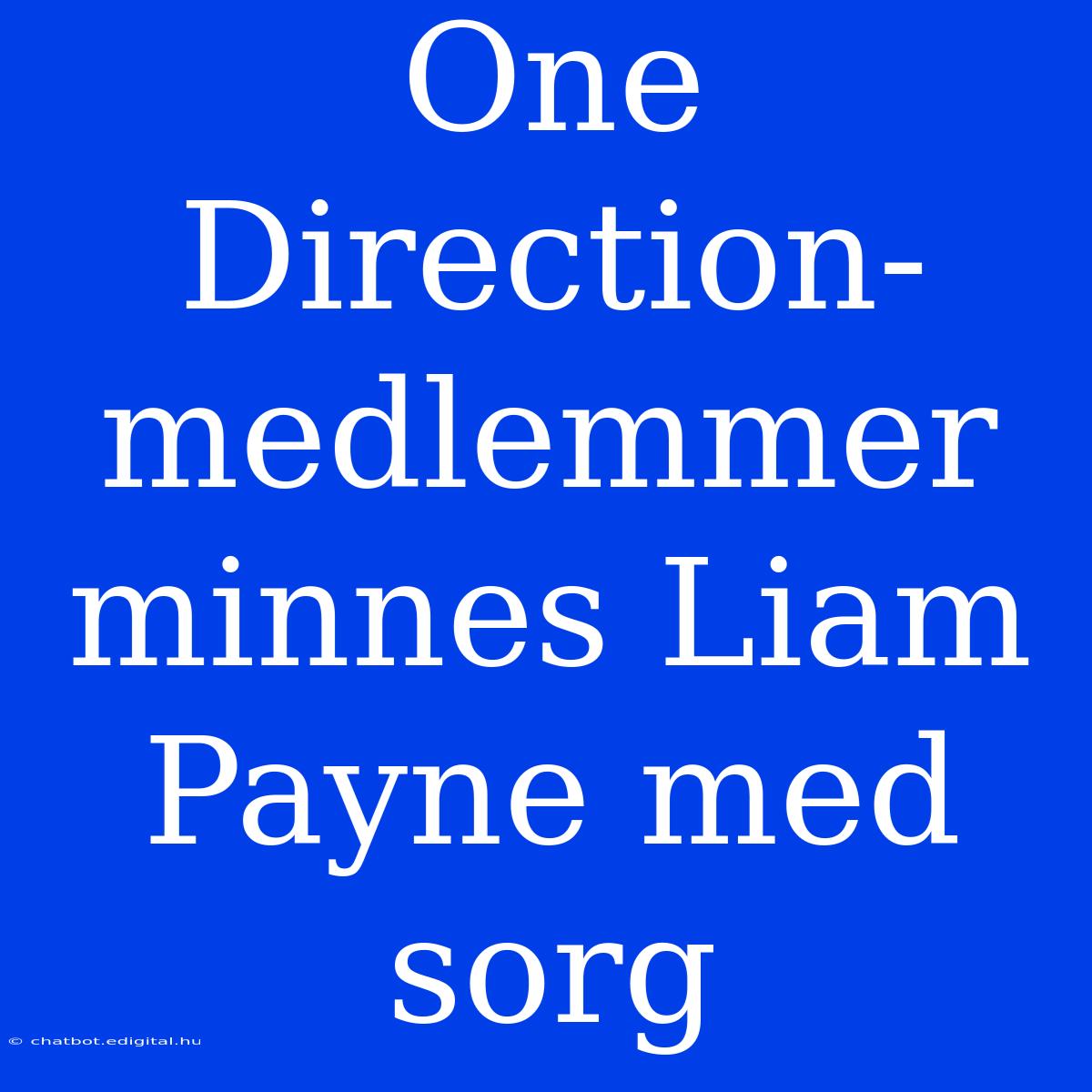 One Direction-medlemmer Minnes Liam Payne Med Sorg