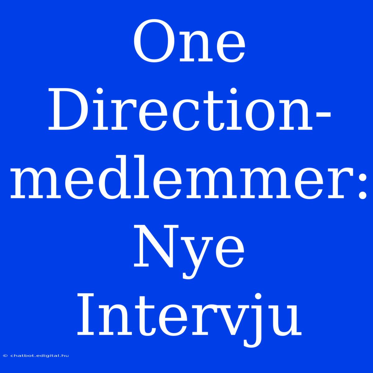 One Direction-medlemmer: Nye Intervju