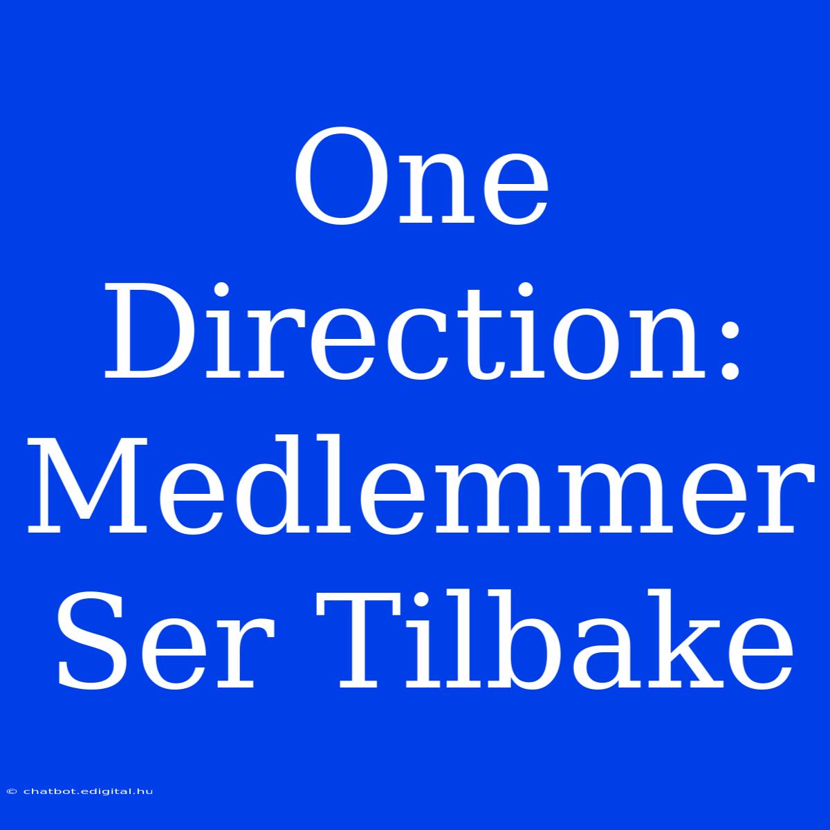 One Direction: Medlemmer Ser Tilbake