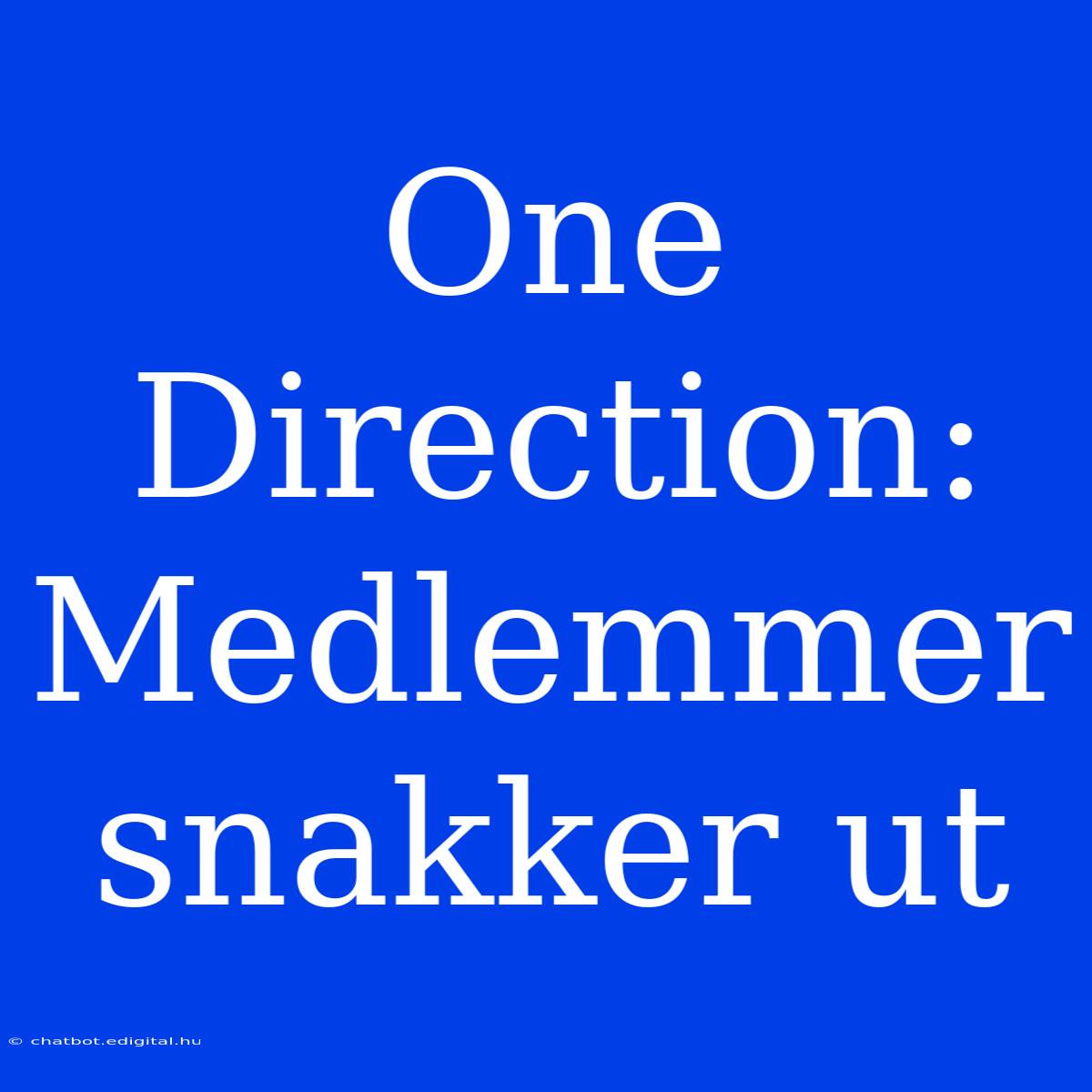 One Direction: Medlemmer Snakker Ut