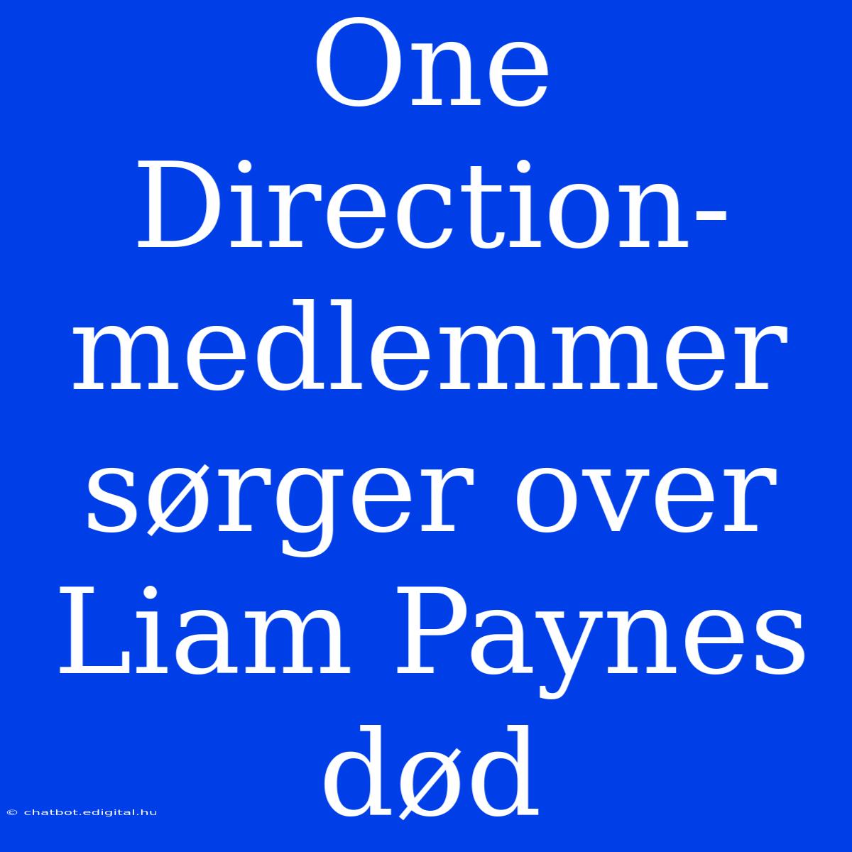 One Direction-medlemmer Sørger Over Liam Paynes Død