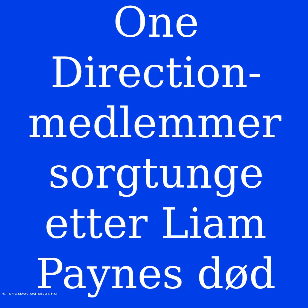 One Direction-medlemmer Sorgtunge Etter Liam Paynes Død