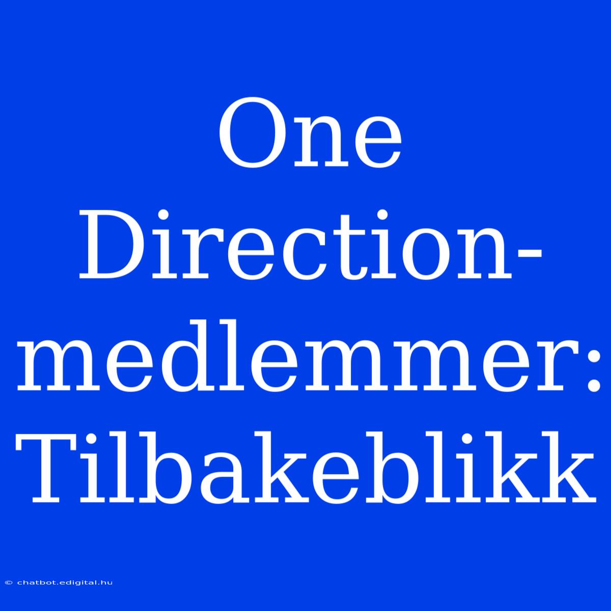 One Direction-medlemmer: Tilbakeblikk 