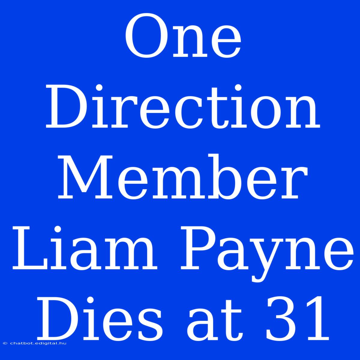 One Direction Member Liam Payne Dies At 31