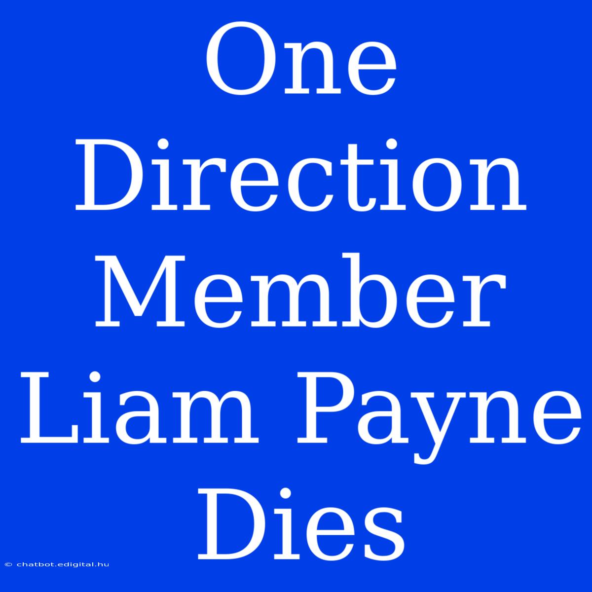 One Direction Member Liam Payne Dies