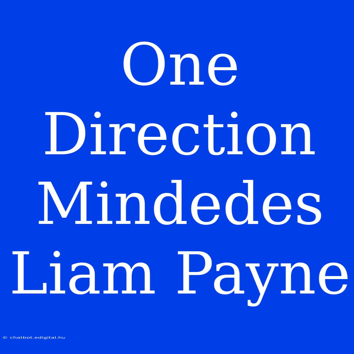 One Direction Mindedes Liam Payne 