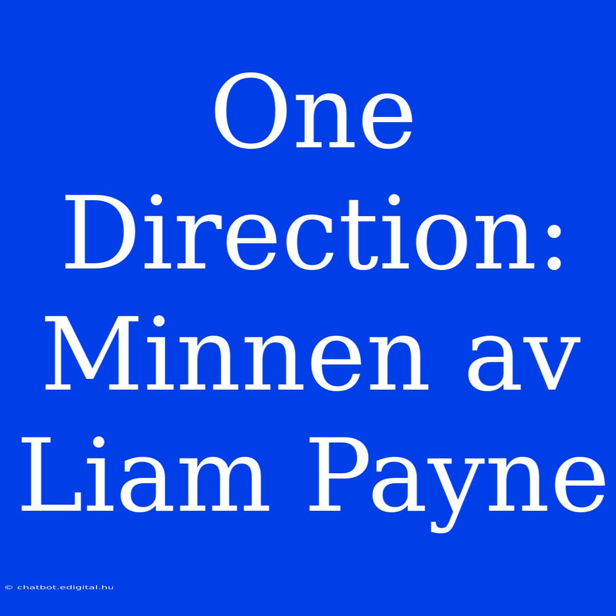 One Direction: Minnen Av Liam Payne