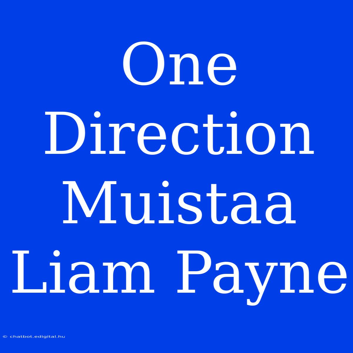 One Direction Muistaa Liam Payne