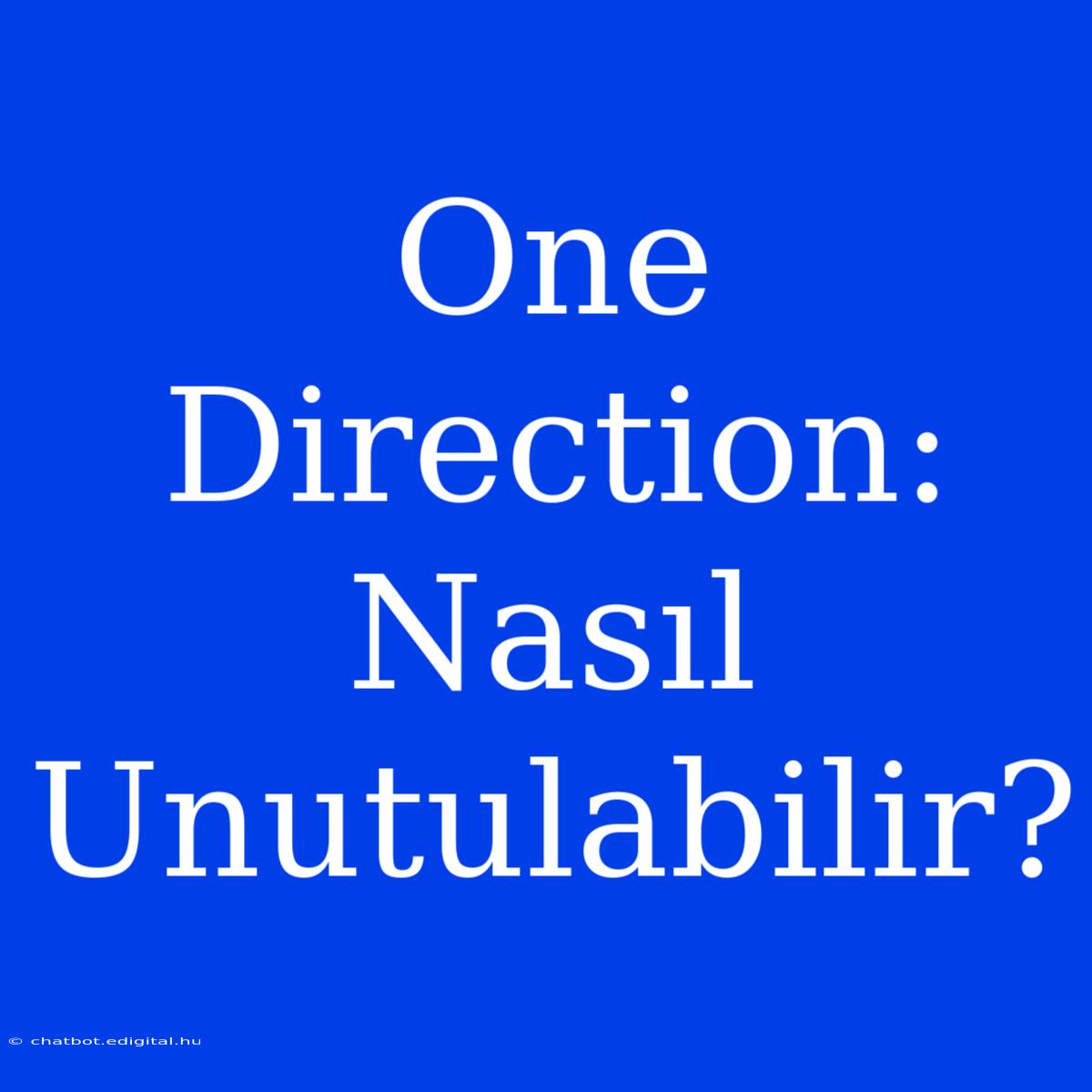 One Direction: Nasıl Unutulabilir?