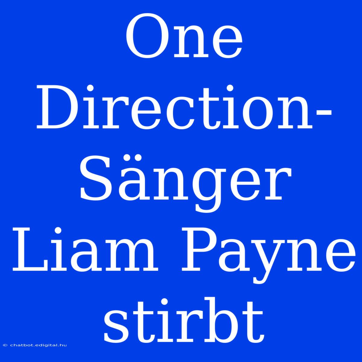 One Direction-Sänger Liam Payne Stirbt