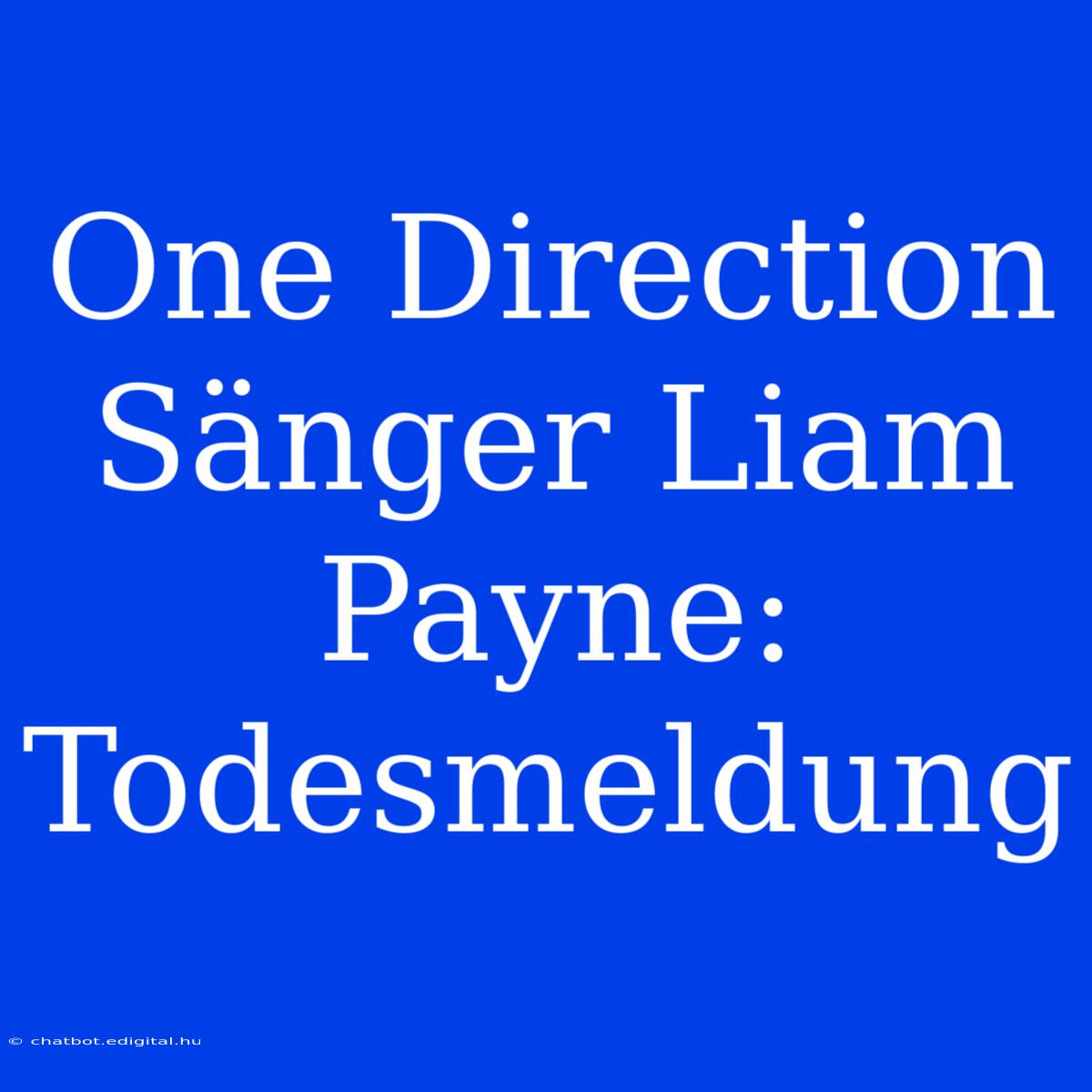 One Direction Sänger Liam Payne: Todesmeldung