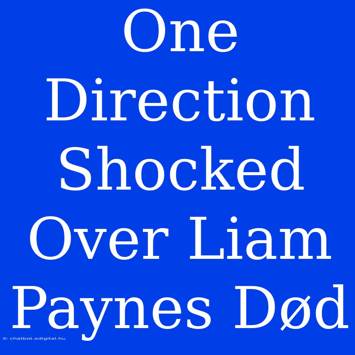 One Direction Shocked Over Liam Paynes Død