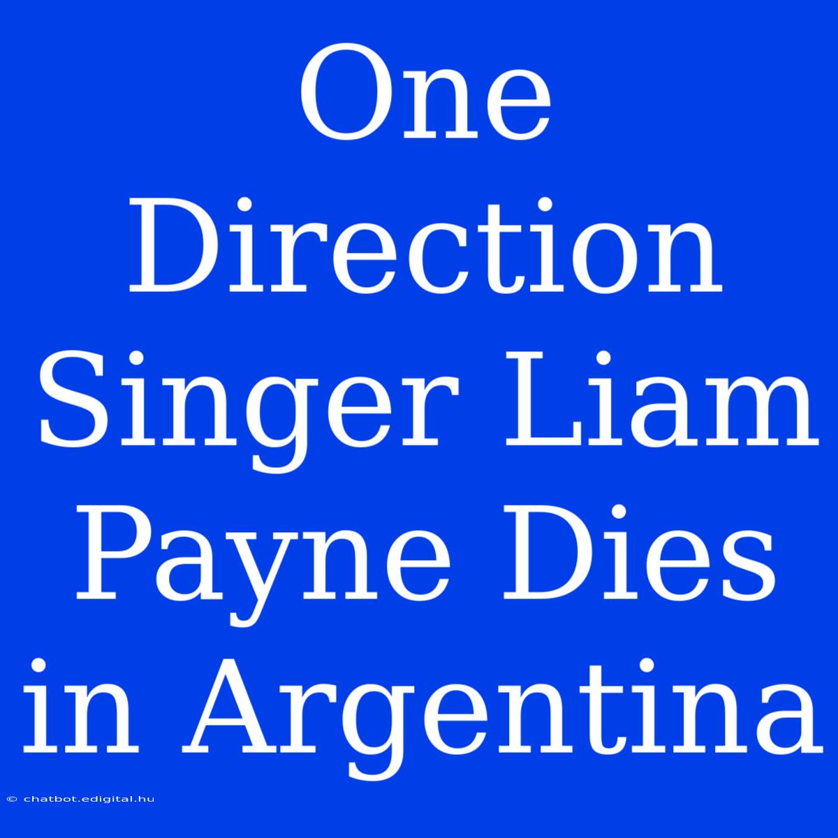 One Direction Singer Liam Payne Dies In Argentina