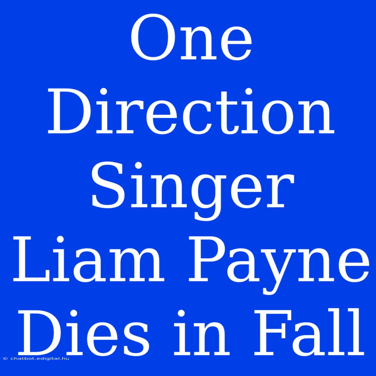 One Direction Singer Liam Payne Dies In Fall