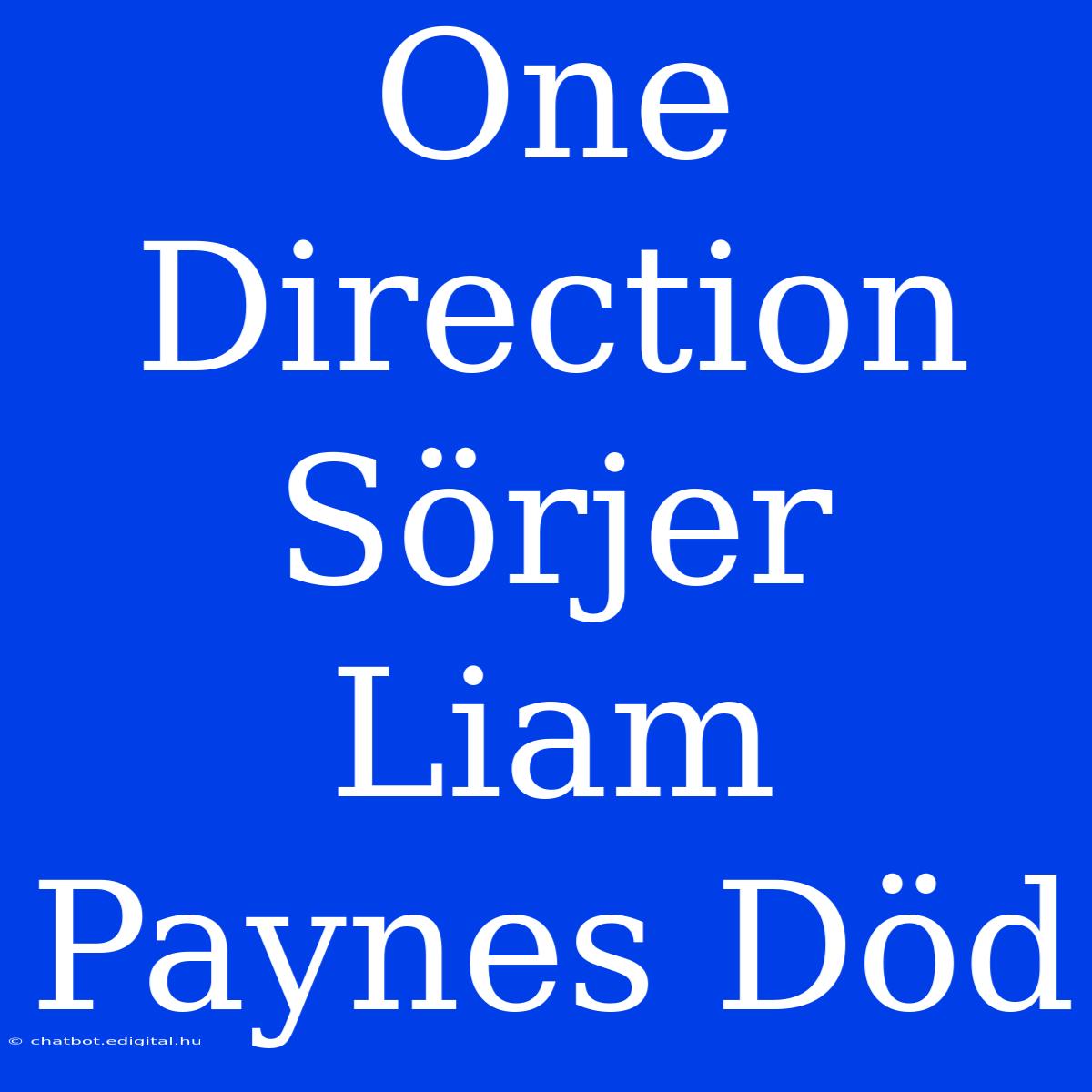 One Direction Sörjer Liam Paynes Död