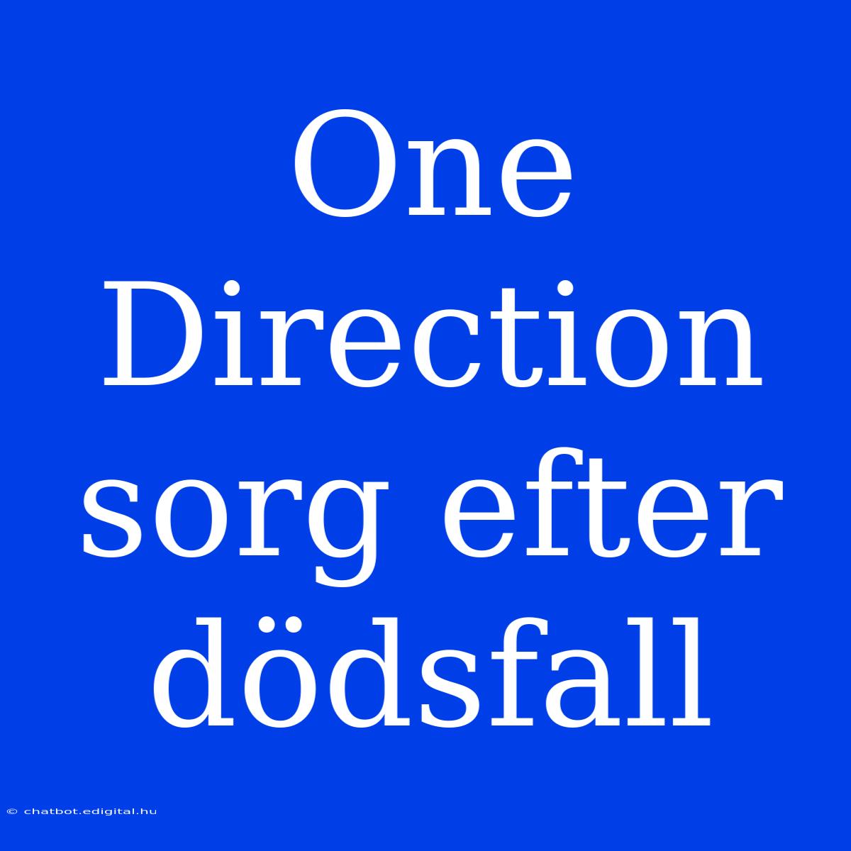 One Direction Sorg Efter Dödsfall