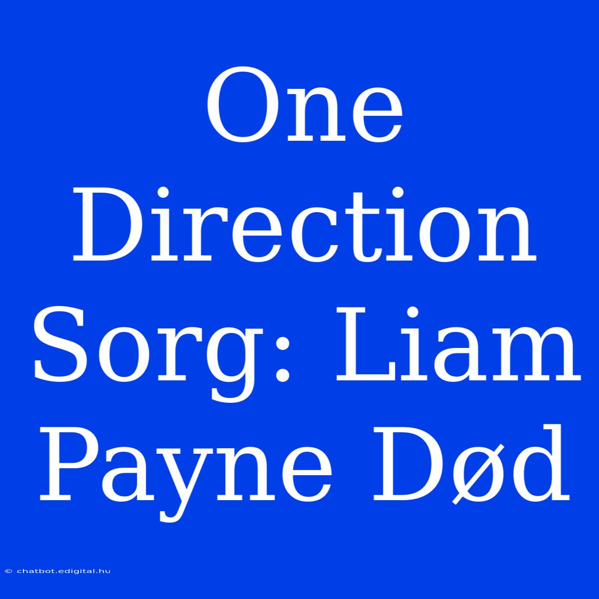 One Direction Sorg: Liam Payne Død