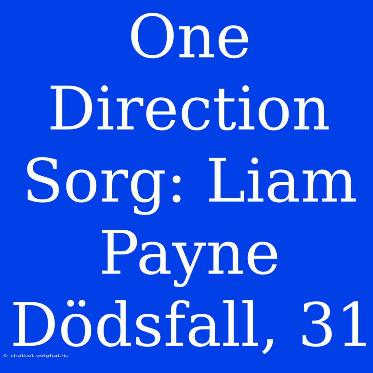 One Direction Sorg: Liam Payne Dödsfall, 31