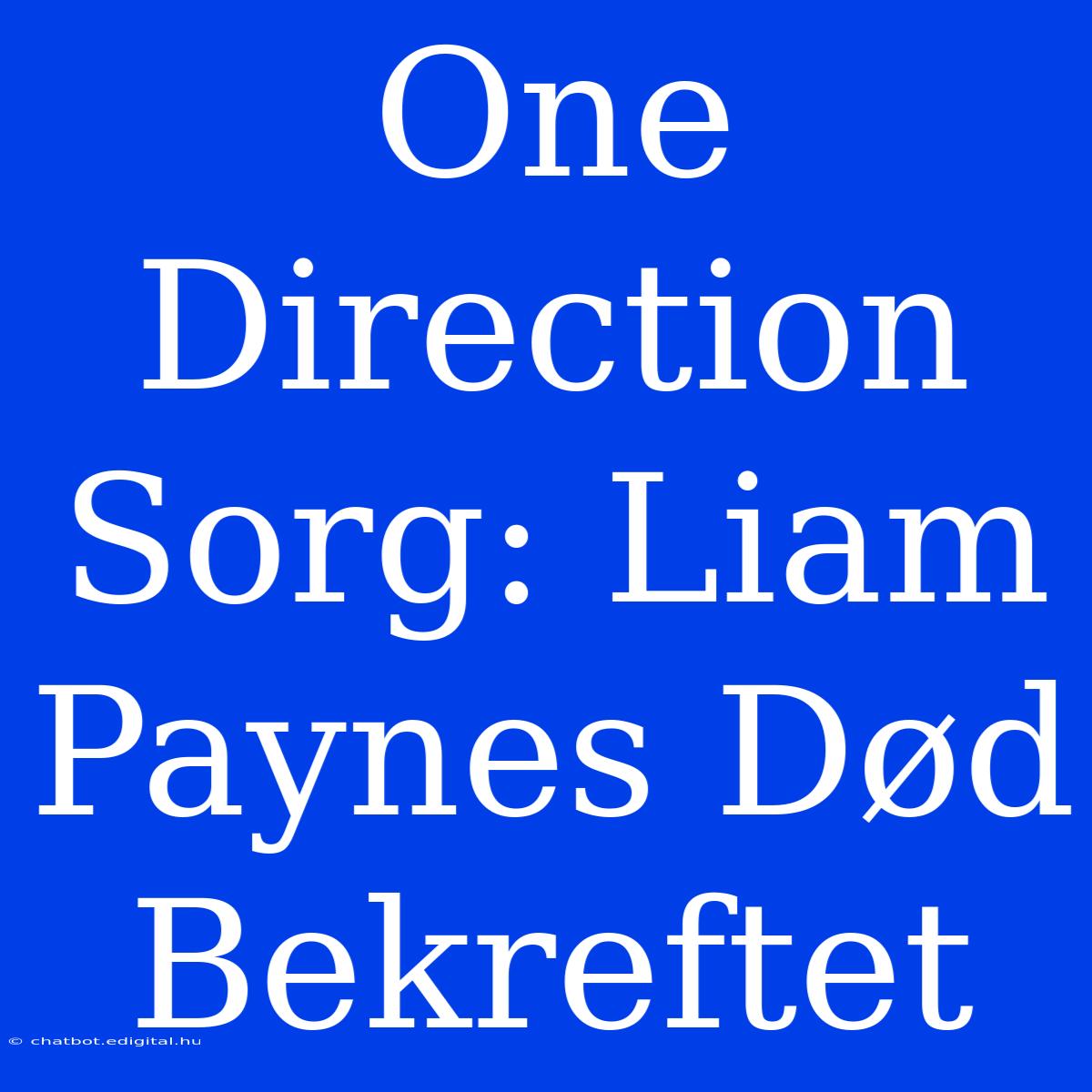 One Direction Sorg: Liam Paynes Død Bekreftet