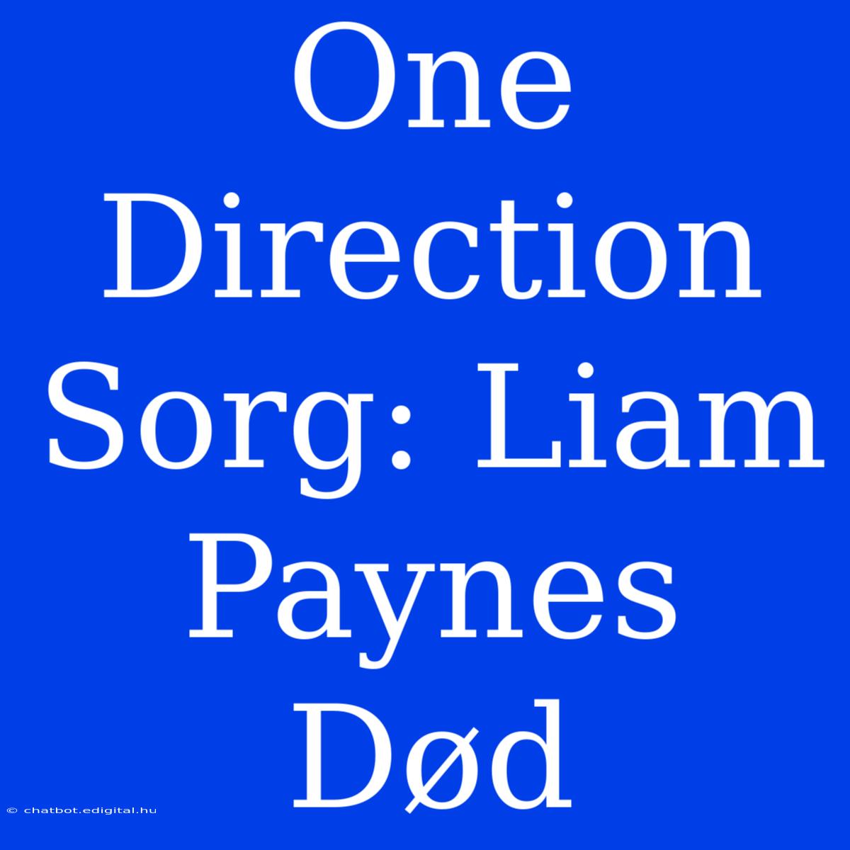 One Direction Sorg: Liam Paynes Død