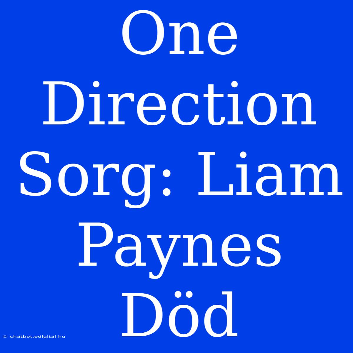 One Direction Sorg: Liam Paynes Död