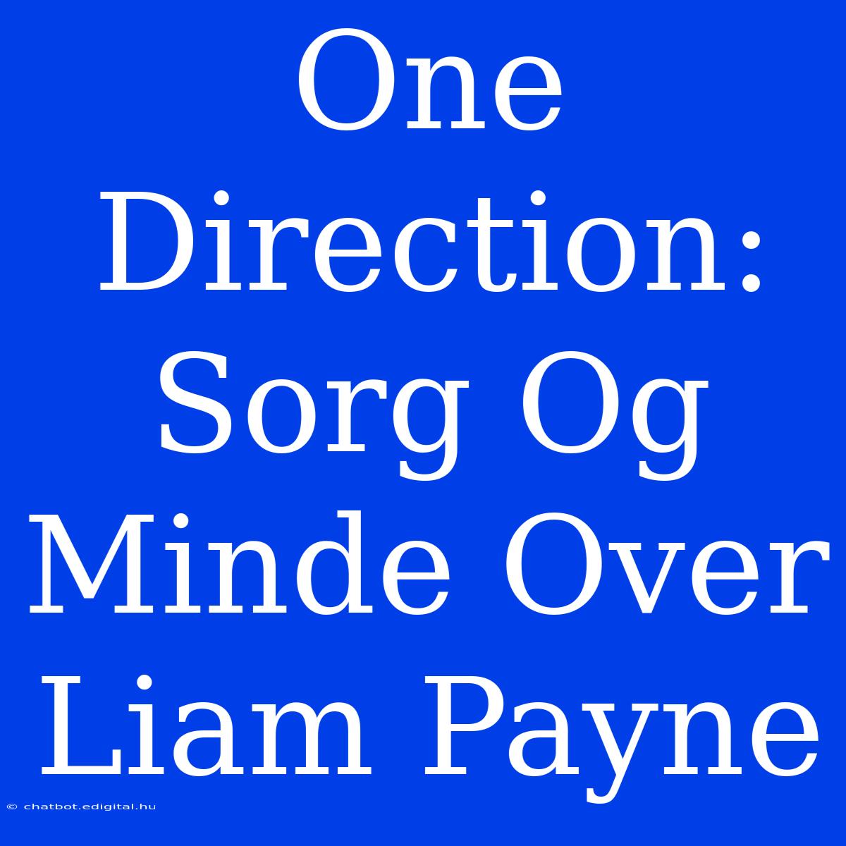 One Direction: Sorg Og Minde Over Liam Payne 