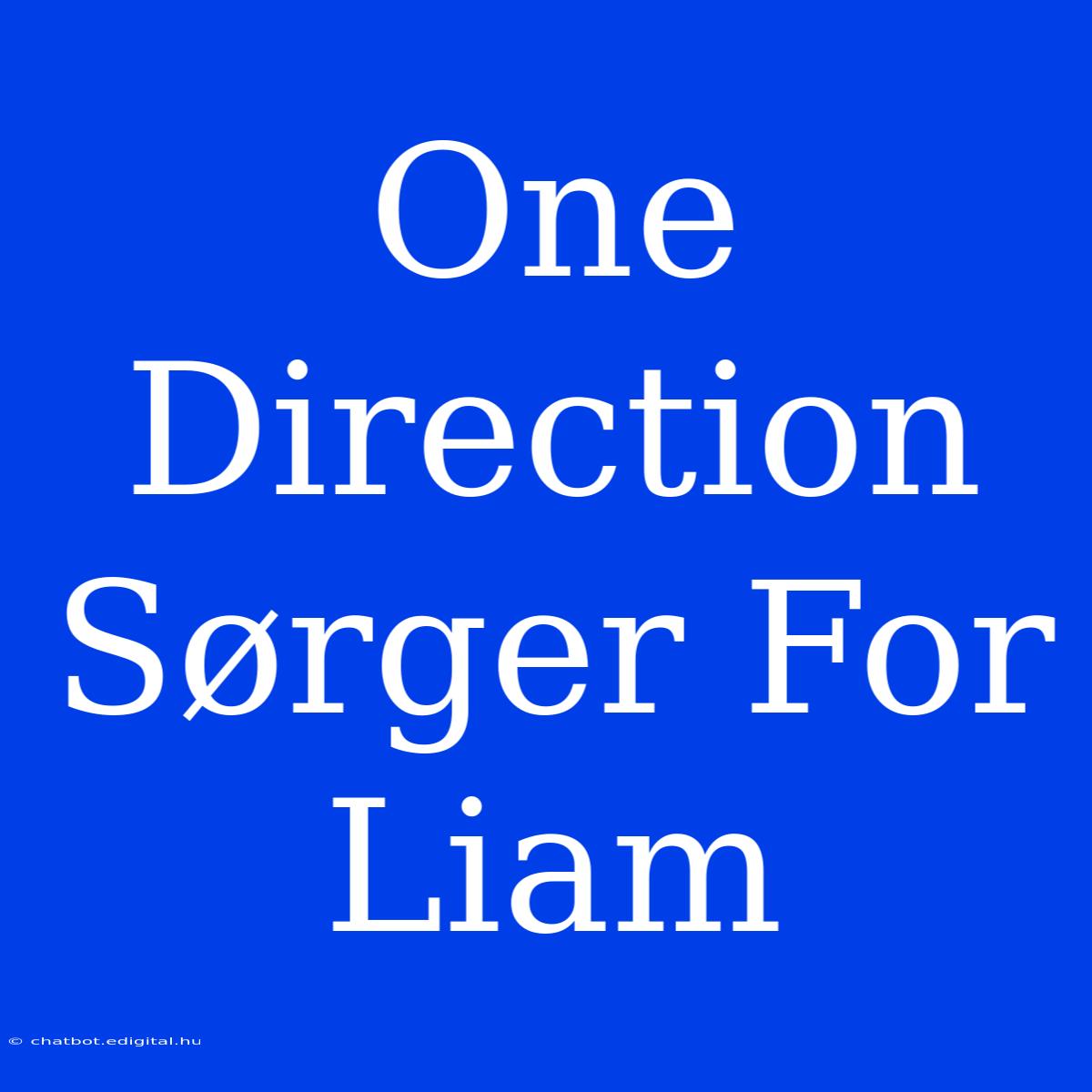 One Direction Sørger For Liam