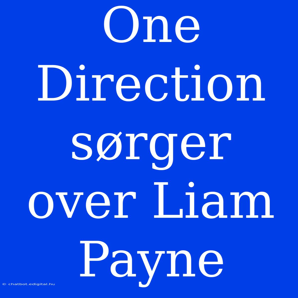 One Direction Sørger Over Liam Payne 