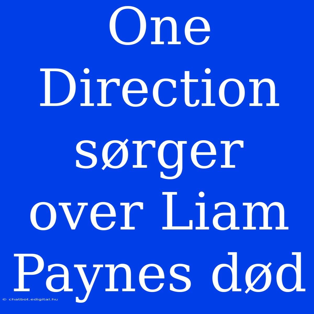 One Direction Sørger Over Liam Paynes Død