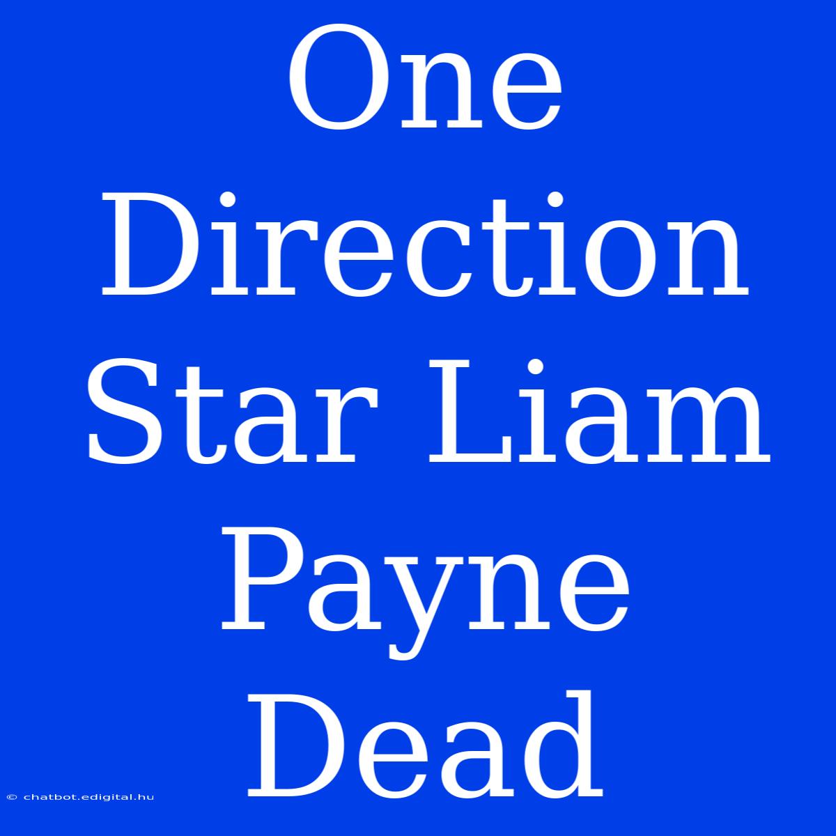 One Direction Star Liam Payne Dead